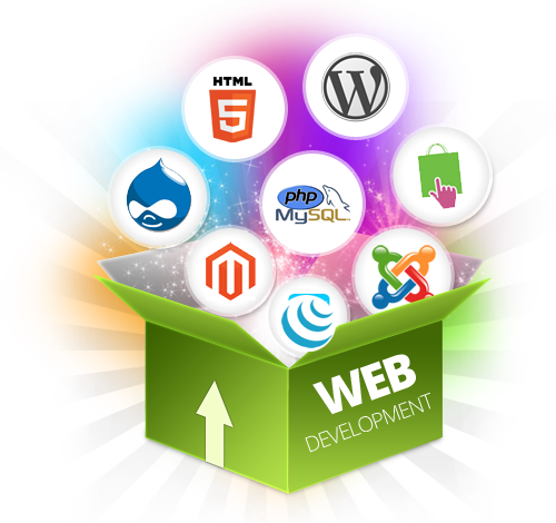 Web Development Service at Web Expanders
