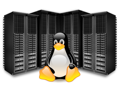 Website Hosting, Linux Hosting, PHP Hosting, WordPress Hosting at Web Expanders